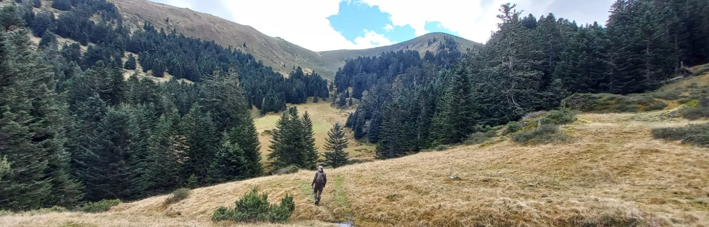 Chasseur progressant seul dans un vallon de montagne, à l'approche