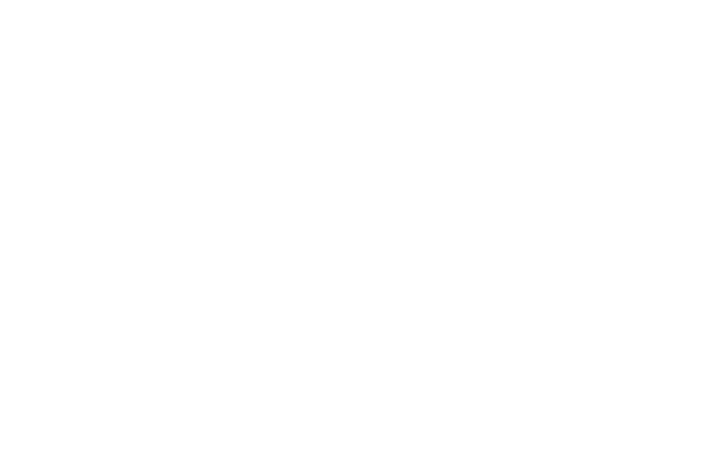Karnivore